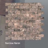 Plaquette de marbre narcisse  2,3 x 4,8 cm